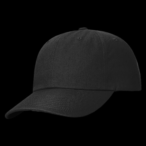 Sustainable Ashland Dad Hat Thumbnail