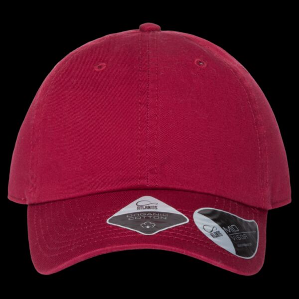 Sustainable Dad Hat Thumbnail