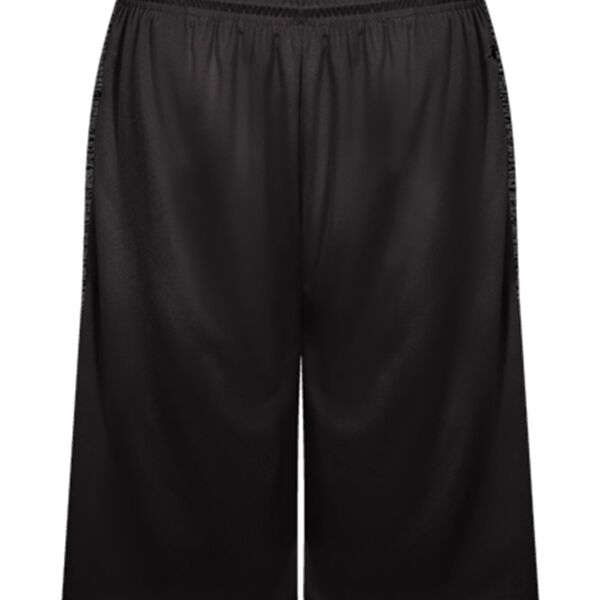 Badger - Tonal Blend Panel Shorts  Thumbnail