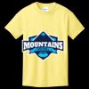 Youth 5.4 oz Cotton T-Shirt Thumbnail