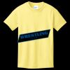 Youth 5.4 oz Cotton T-Shirt Thumbnail