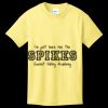 Youth 5.4 oz Cotton T-Shirt Thumbnail